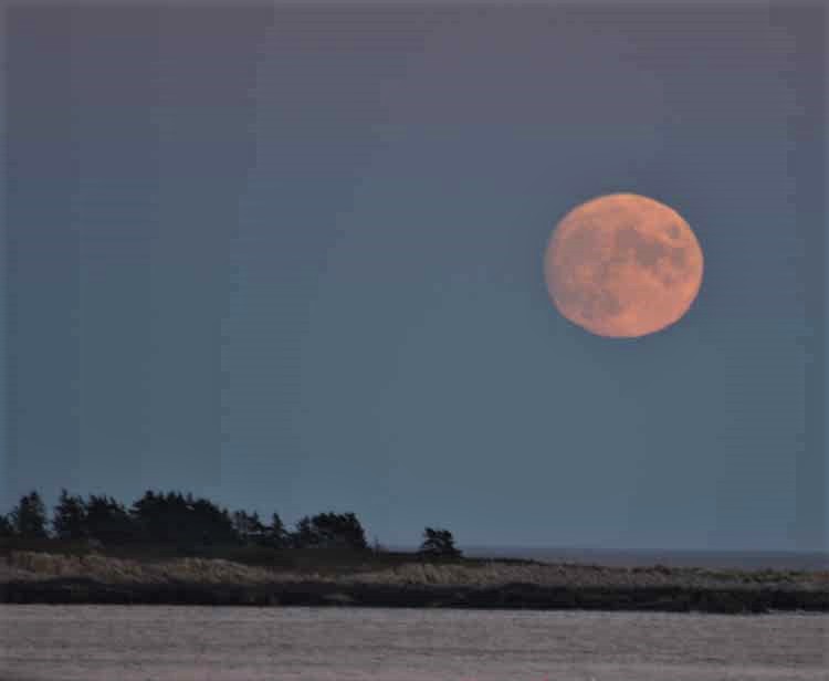 moonrise